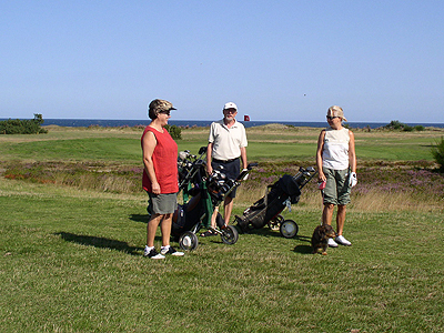 Spieler und Hund auf dem Golfplatz