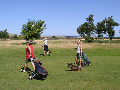 Probieren Sie Golf auf dem Seaside Golfplatz von Läsö